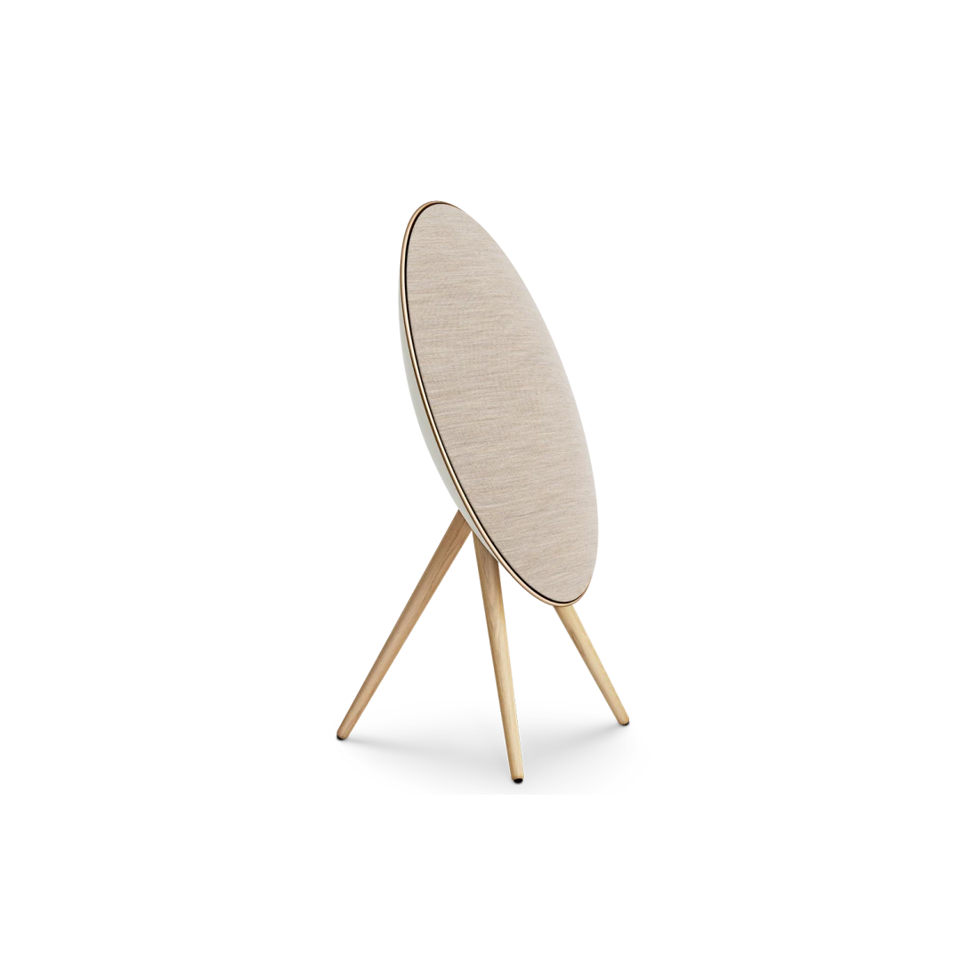 Bang Olufsen Beosound A9 5th Gen Active Network Design Speaker